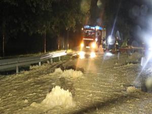 Almanya'da sel felaketi