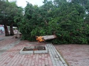 Antalya'da şiddetli fırtına