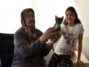 Binlerce sokak hayvanı sıcak bir yuvaya kavuşturuldu