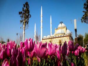 Bursa Rengarenk Oldu