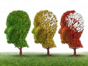 Fransa'da Alzheimer köyü kurulacak