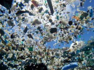İngiltere'de Nehirler Plastik Akıyor