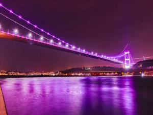 İstanbul'un köprüleri epilepsi hastaları için aydınlatıldı