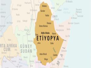Japonya'dan Etiyopya'ya acil yardım