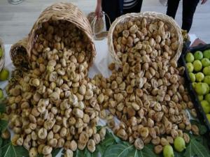 Kuru incir ihracatı yüz güldürdü