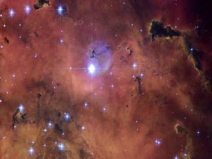 Kuru kafa biçimli yıldız nebulası fotoğraflandı