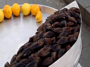Midye yerken dikkat edilmeli