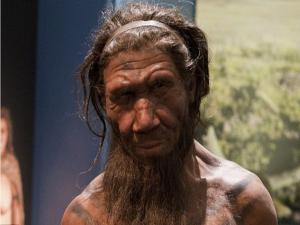 Neandertaller yüzme biliyormuş