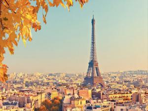 Paris'i tahtakurusu bastı