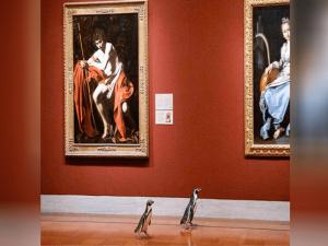 Penguenler sanat müzesi gezdi