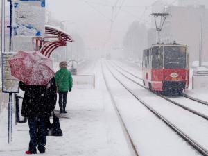 Polonya'da soğuk hava can kayıplarına yol açıyor