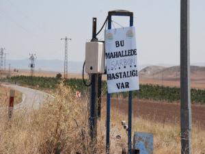 Silivri'de 'şarbon' karantinası