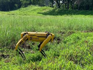 Singapurdan Covid-19'a karşı robot köpek önlemi
