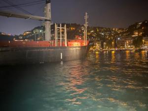 Tahıl yüklü gemi karaya oturdu