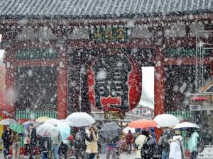 Tokyo'da yoğun kar yağışı yaşamı felç etti