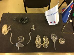 Türk bilim insanları cerrahide 3D teknolojisine imza attı