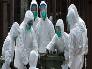 Vietnam'da kuş gribi alarmı
