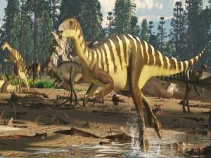 Yeni dinozor türü keşfedildi
