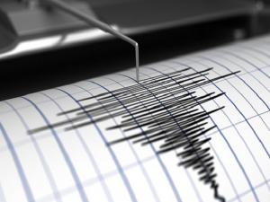 Yeni Zelanda'da deprem