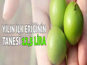 Yılın ilk eriğinin tanesi 12,5 lira