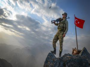 Zeytin Dalı Harekatı Afrin