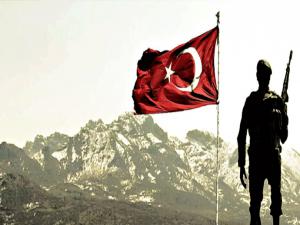 Zeytin Dalı Harekatı'nda 46. gün