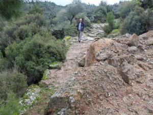 Zeytinliklere yol açmak için antik yolu tahrip ettiler