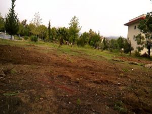 Otopark Yapmak İçin Ağaçları Kestiler