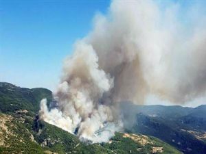Muğla da Orman yangını