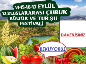 12. Uluslararası Çubuk Turşu ve Kültür Festivali Başladı