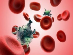 'Dünyada 36.7 milyon kişi HIV virüsü taşıyor'