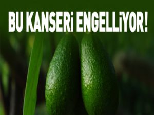 KAN KANSERİNE AVAKADO