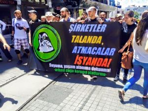 RİZELİ TEYZELERE DESTEK YÜRÜYÜŞÜ