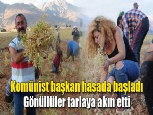 NOHUT HASADI BAŞLADI