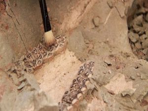 8 MİLYON YILLIK FOSİLLER AVRUPA DA TANITILACAK