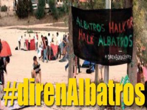 B.ÇEKMECE ALBATROS DİRENİYOR