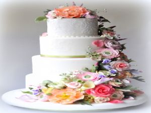 Damat evlenmekten vazgeçince evsizlere gün doğdu