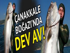 50 KİLOLUK AKYA AVLADI