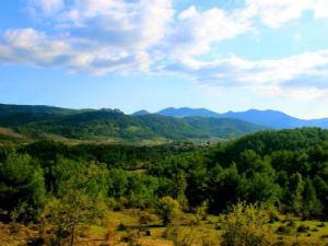 KAZDAĞI DİRENİYOR