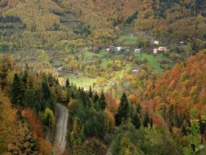 FOTOĞRAF'IN RENK VE IŞIĞA DOYDUĞU ŞEHİR ''KASTAMONU''