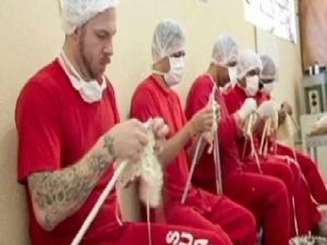 Örgü Ören Mahkumlar ErkenTahliye Oluyor