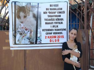 Kedisinin 'tecavüz' sonucu ölmesini afişle protesto etti