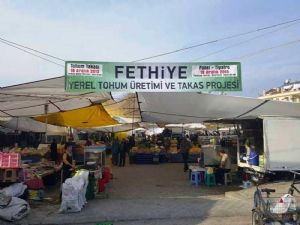Kadınların Azmi Yerel Tohumları Yok Olmaktan Kurtardı