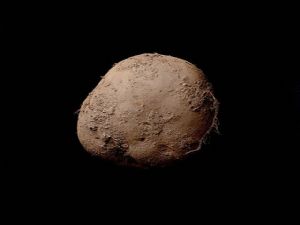 Bu patates fotoğrafı bir milyon dolara satıldı