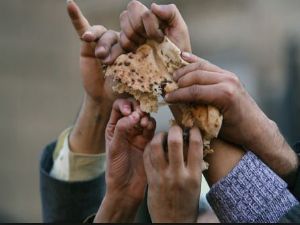 OXFORD ÜNİVERSİTESİNDEN KORKUTAN KEHANET