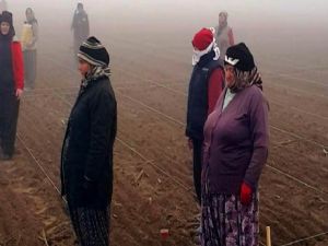 Tarlada çalışan kadınlardan Ata'ya saygı duruşu