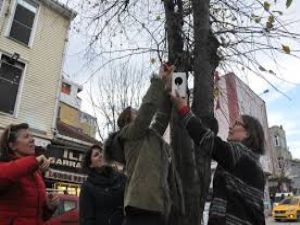 Ağaçlara ahşaptan kuş yuvaları yerleştirildi