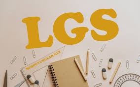 LGS sonuçları açıklandı