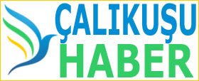 Çalıkuşu Haber